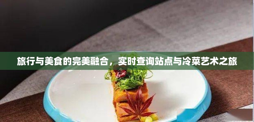 旅行与美食的完美融合,实时查询站点与冷菜艺术之旅