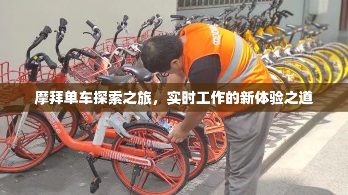 摩拜单车探索之旅,实时工作的新体验之道