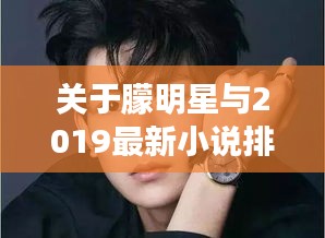 关于朦明星与2019最新小说排行的深度解析
