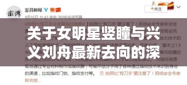 张袂成阴 第2页