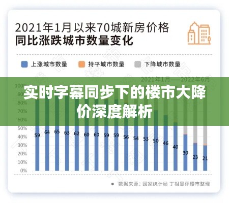 实时字幕同步下的楼市大降价深度解析