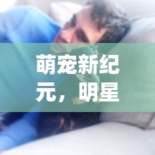 萌宠新纪元,明星宠物生活探秘与马超群的最新动态
