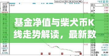 基金净值与柴犬币K线走势解读,最新数据与深度分析