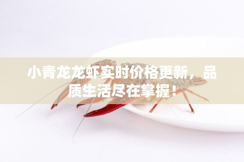 小青龙龙虾实时价格更新，品质生活尽在掌握！