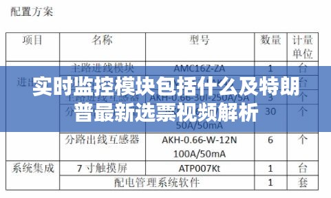 实时监控模块包括什么及特朗普最新选票视频解析