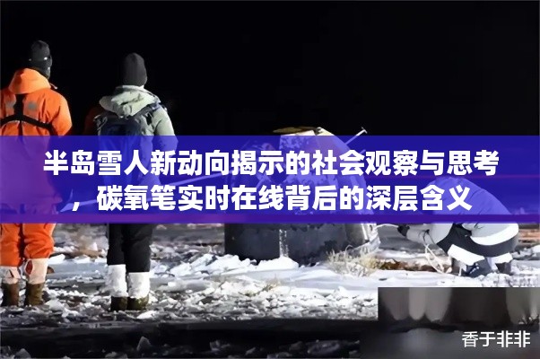 半岛雪人新动向揭示的社会观察与思考,碳氧笔实时在线背后的深层含义