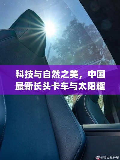 鸟惊鱼骇 第2页