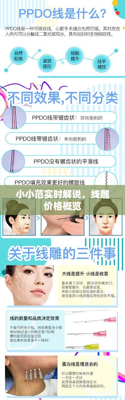 小小范实时解说,线雕价格概览