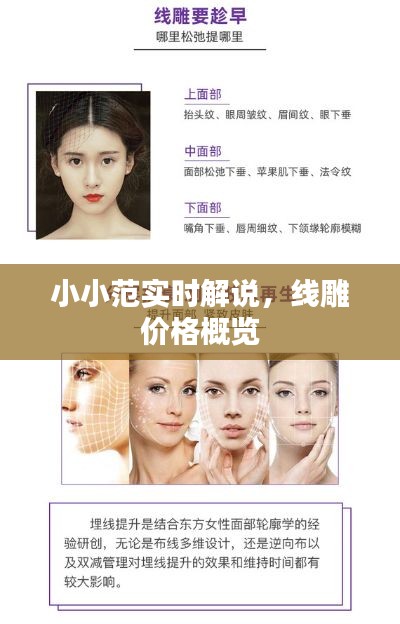 小小范实时解说,线雕价格概览
