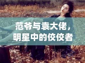 范爷与袁大佬,明星中的佼佼者——最新动态独家揭秘