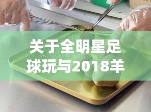 关于全明星足球玩与2018羊宝最新价格的深度剖析