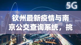 钦州最新疫情与南京公交查询系统，挑战与机遇同步发展