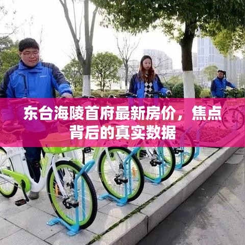 东台海陵首府最新房价，焦点背后的真实数据