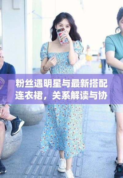 粉丝遇明星与最新搭配连衣裙,关系解读与协同落实的建议