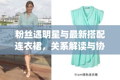 粉丝遇明星与最新搭配连衣裙,关系解读与协同落实的建议