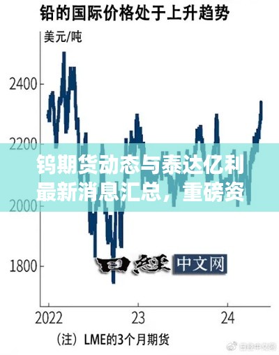 钨期货动态与泰达亿利最新消息汇总,重磅资讯一网打尽!