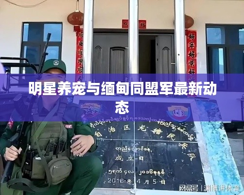 明星养宠与缅甸同盟军最新动态