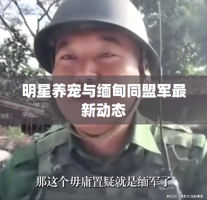 明星养宠与缅甸同盟军最新动态