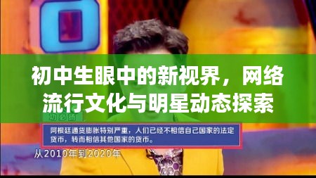 初中生眼中的新视界,网络流行文化与明星动态探索