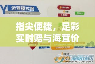 指尖便捷,足彩实时赔与海茸价格掌握生活品质