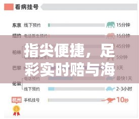 指尖便捷,足彩实时赔与海茸价格掌握生活品质