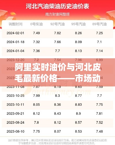 阿里实时油价与河北皮毛最新价格——市场动态深度解析