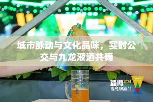 城市脉动与文化品味,实时公交与九龙液酒共舞