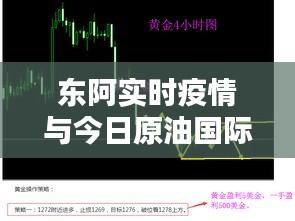 张张屈屈 第2页