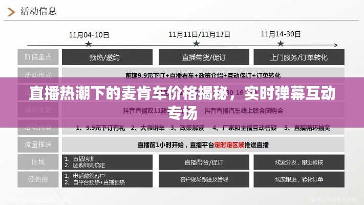 直播热潮下的麦肯车价格揭秘,实时弹幕互动专场