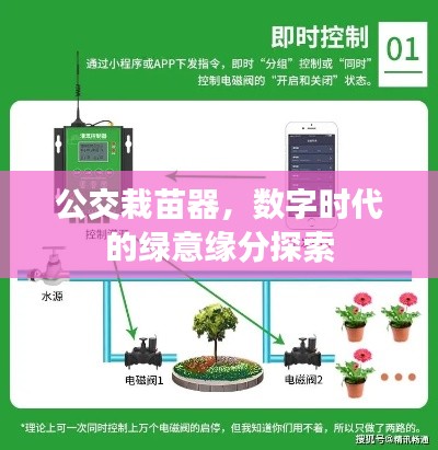 公交栽苗器,数字时代的绿意缘分探索