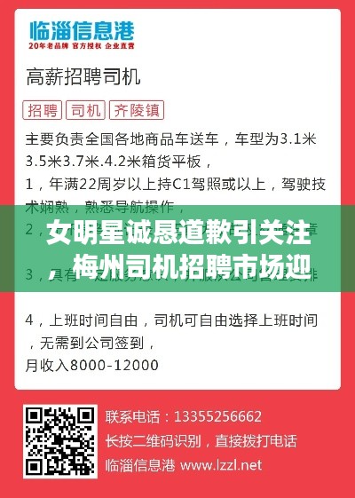 女明星诚恳道歉引关注,梅州司机招聘市场迎新机遇