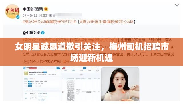 女明星诚恳道歉引关注,梅州司机招聘市场迎新机遇