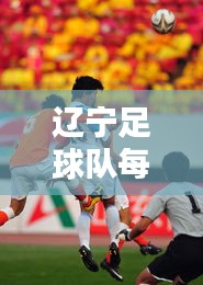 辽宁足球队每日实时走势与最新消息速递