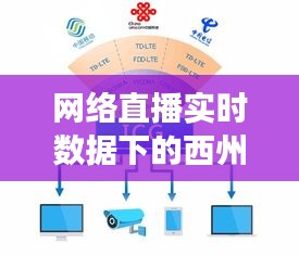 网络直播实时数据下的西州蜜价格探析