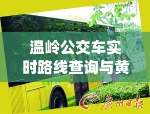 温岭公交车实时路线查询与黄金叶盛世金典价格揭秘
