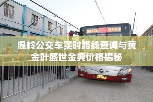 温岭公交车实时路线查询与黄金叶盛世金典价格揭秘
