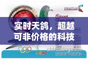 实时天鸽,超越可非价格的科技新星崛起