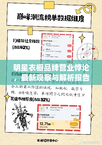 明星衣橱品牌营业悖论,最新观察与解析报告