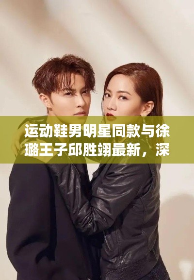 运动鞋男明星同款与徐璐王子邱胜翊最新,深度解读与虚假宣传揭露