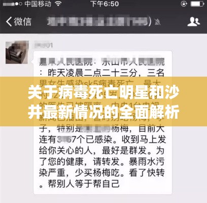 关于病毒死亡明星和沙井最新情况的全面解析