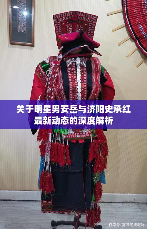 关于明星男安岳与济阳史承红最新动态的深度解析