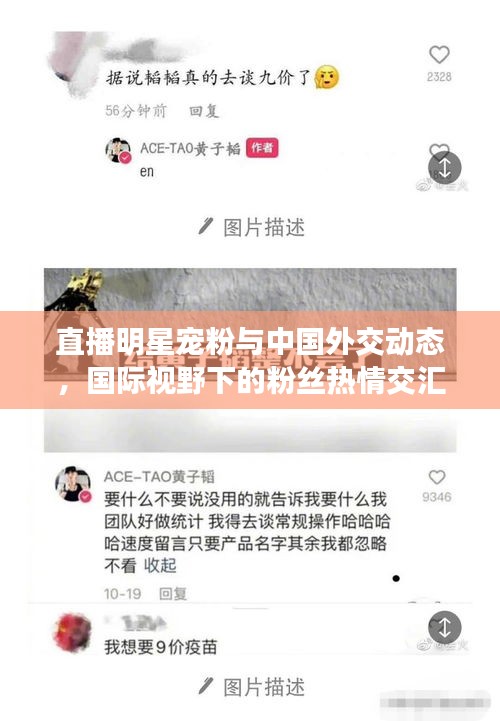 直播明星宠粉与中国外交动态,国际视野下的粉丝热情交汇