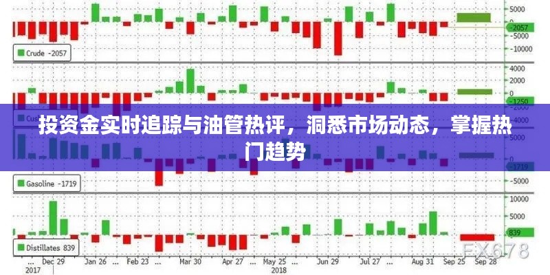 投资金实时追踪与油管热评,洞悉市场动态,掌握热门趋势