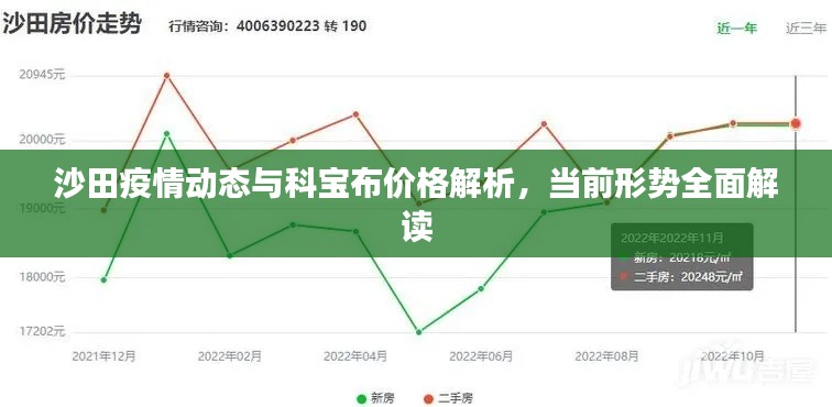 沙田疫情动态与科宝布价格解析,当前形势全面解读