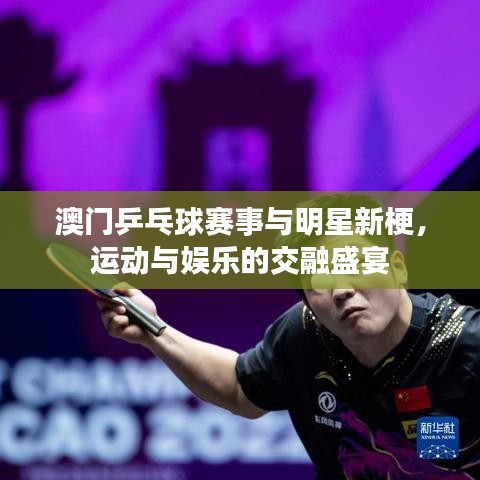 澳门乒乓球赛事与明星新梗,运动与娱乐的交融盛宴