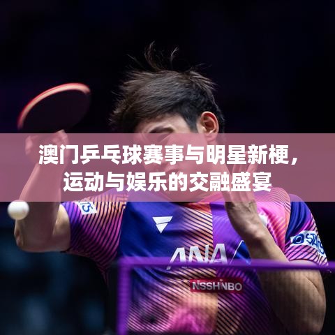 澳门乒乓球赛事与明星新梗,运动与娱乐的交融盛宴
