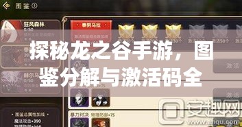 探秘龙之谷手游,图鉴分解与激活码全攻略