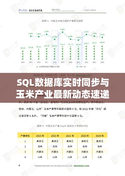 SQL数据库实时同步与玉米产业最新动态速递