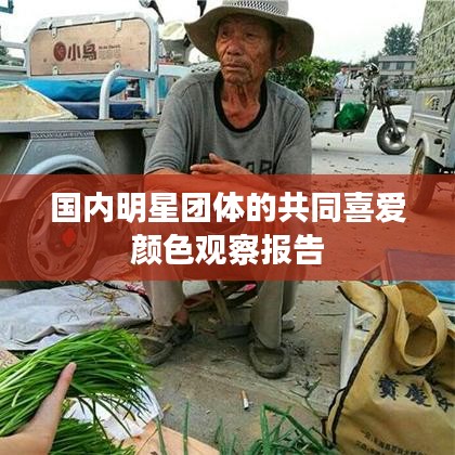 国内明星团体的共同喜爱颜色观察报告