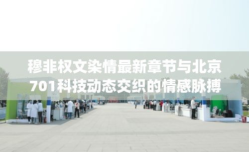 穆非权文染情最新章节与北京701科技动态交织的情感脉搏